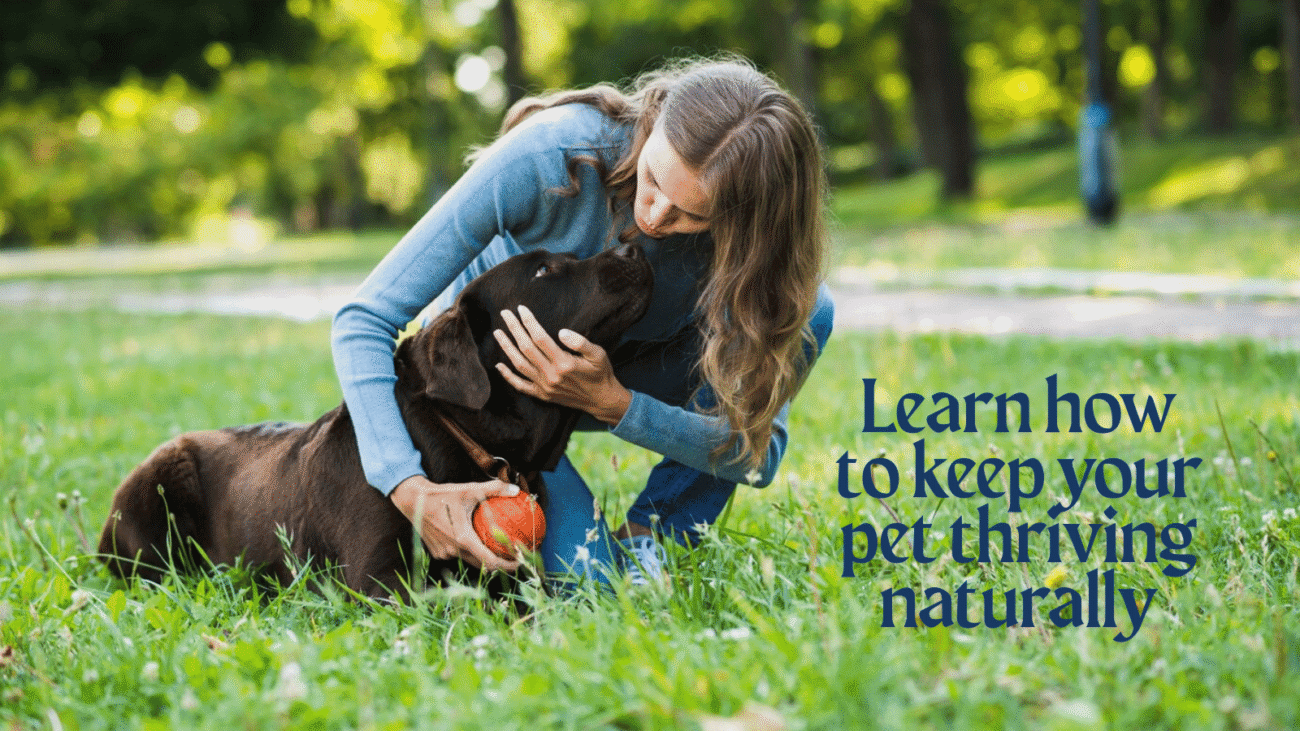 natural pet care