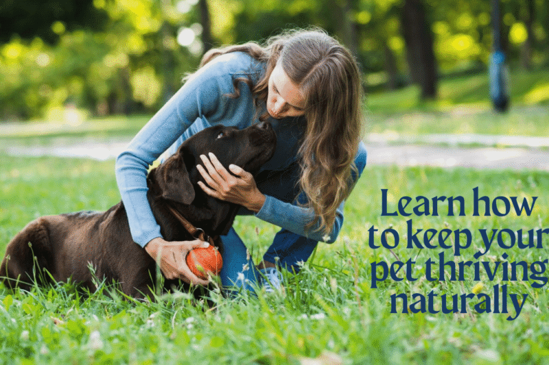 Natural Pet Care: How to Keep Your Pets Thriving Naturally