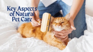 natural pet foods