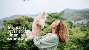 organic pet care