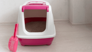 Best cat litter box-1