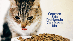 Can Cat Food Cause Skin Problems (1)