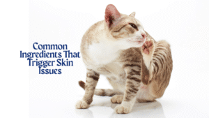 Can cat food cause skin problems