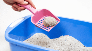 Cat Litter Hacks