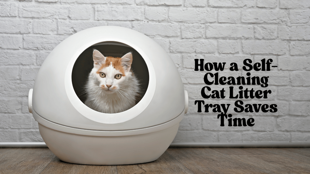 Cat Litter Tray