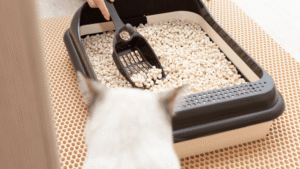 DIY Cat Litter Disposal