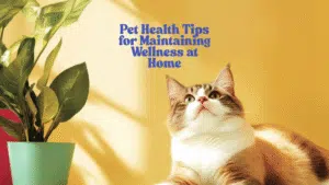 Pet Health Tips