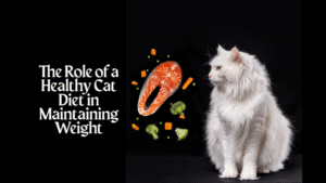 Role of a Healthy Cat Diet
