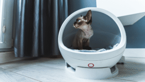 Self-cleaning cat litter tray