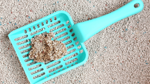 Sustainable Cat Litter Options
