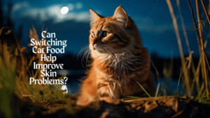 Switching Cat Food