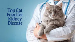 Top Cat Food for Kidney Disease (1)