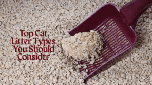 Top Cat Litter Types