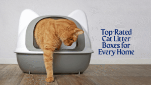 Top-Rated Cat Litter Boxes
